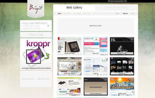 36個(gè)精選網(wǎng)站 探索與收集互聯(lián)網(wǎng)信息服務(wù)業(yè)務(wù)領(lǐng)域的網(wǎng)頁(yè)設(shè)計(jì)杰作