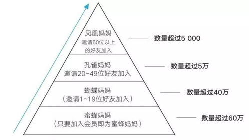 小群效應 讓產品數據迎來漂亮拐點的關鍵利器