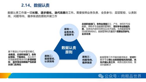 XX集團數據治理體系建設方案——數據處理服務篇