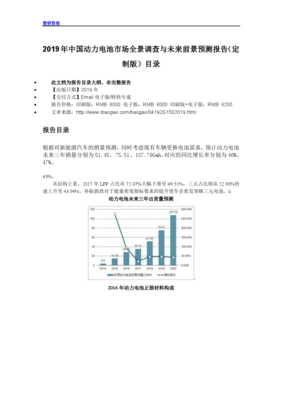 2019年中國(guó)動(dòng)力電池市場(chǎng)全景調(diào)查與未來前景預(yù)測(cè)報(bào)告(定制版)目錄